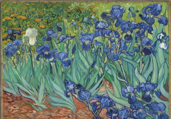 Magnet - Van Gogh Les Iris