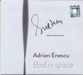Adrian Enescu - Bird In Space
