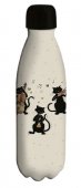 Sticla apa - Cats Bug Art Chats Musique 500ml